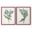 «Blue Tulip Picks I», reproduction encadrée de qualité supérieure - prête à être accrochée - aucun clou requis - aucun clou requis-338982192-338982198