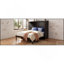 Lit escamotable double avec grands tiroirs, gris-595048035