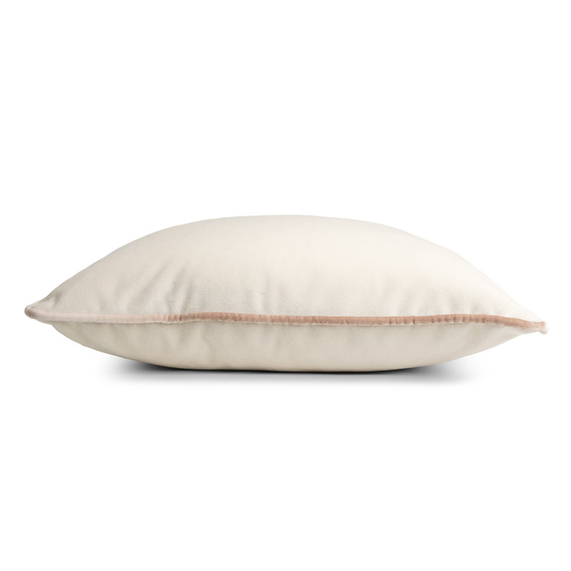 Velvet Pillow Cover & Insert, Latte, Square 20"