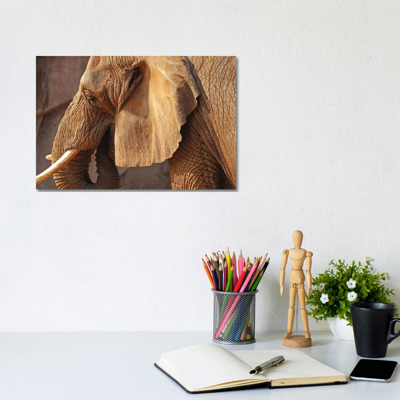 African Elephant by Brian Wolf - Wrapped Canvas Print, 20.32cm H x 30.48cm W x 1.91cm D