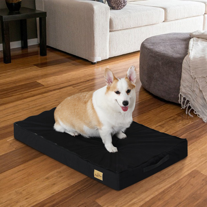 Orthopedic Pet Bed, 8cm H x 78cm W x 48cm D