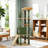 ?60In Cactus Cat Tree, Multi-Level Tall Cat Tower For Indoor Cats, Large Cat Condo For 2-3 Cats