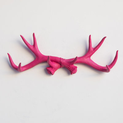 Bellefonte Resin Wall Hook