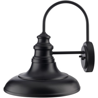 Duhart Iron Armed Sconce