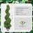 Primrue Artificial Boxwood Topiary in Pot-636577803