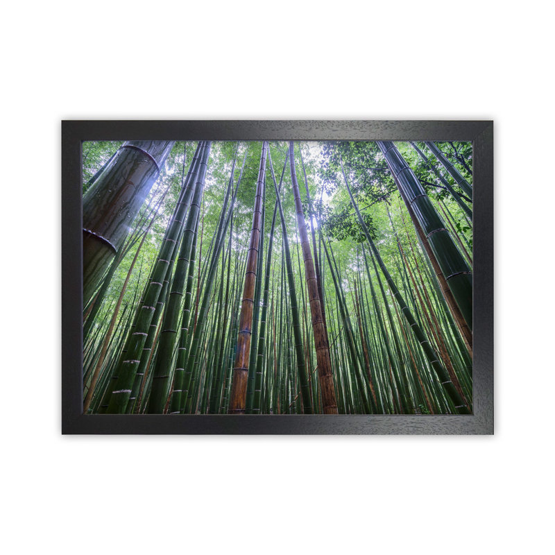 Tall by Karsten Wrobel - Print on Canvas, Black Framed, 25cm H x 34cm W x 3cm D