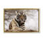 «Strong Tiger Atop Hill» par Danita Delimont-597924073-597924075