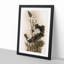 Lotus Flowers - Framed Print-55577434-55577437