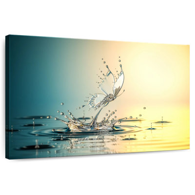 Alvord Water Butterfly