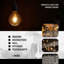 Globe 95 Dimmable LED E27 Screw Bulb 4W