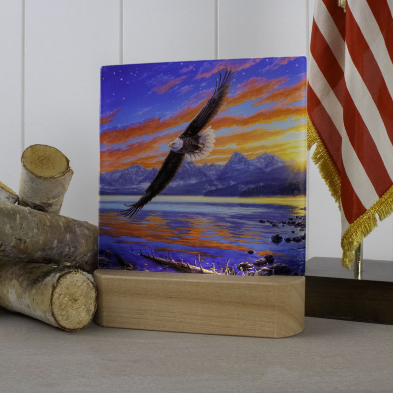 Freedom Flight LED Nightlight