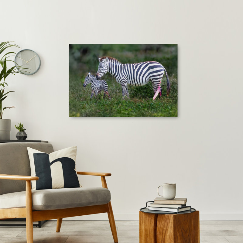Newborn Zebra And Mother Contemporary Zebra Nature Wildlife Wall Art Print by Jeffrey C. Sink - 1 Piece Wrapped Canvas Wall Art