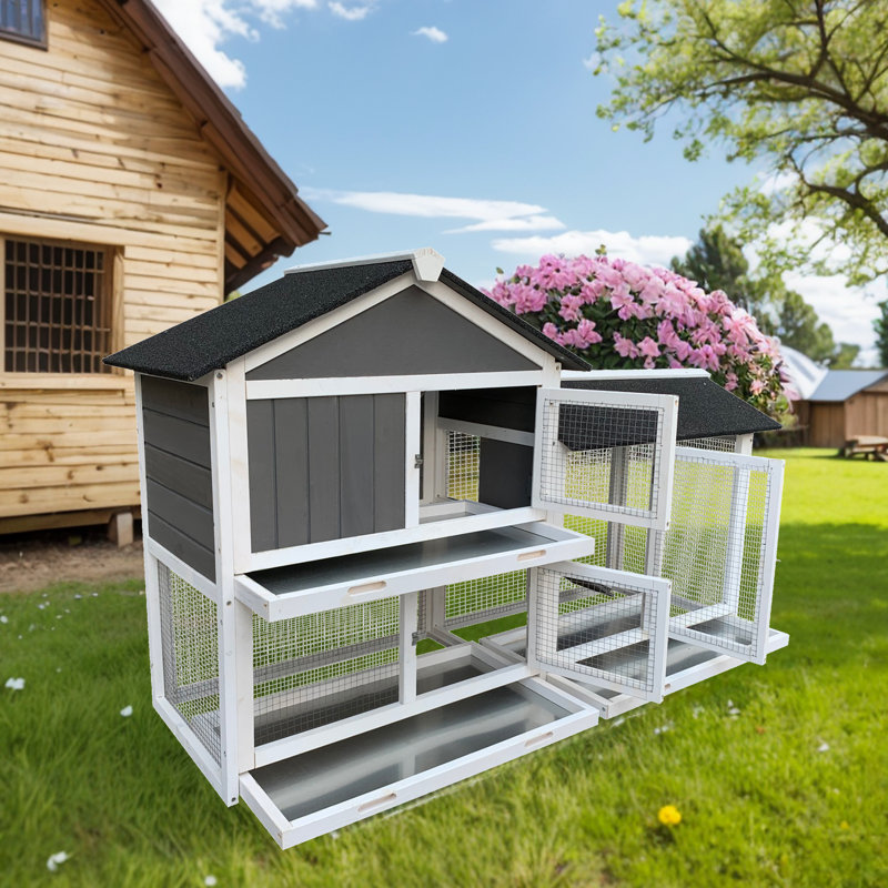 Gerrel Weather Resistant Small Animal Hutch