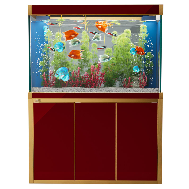 Réservoir d'aquarium 50 gallons, Rouge / or, 135 gallons (H 51 po x l 14 po x P 24 po)
