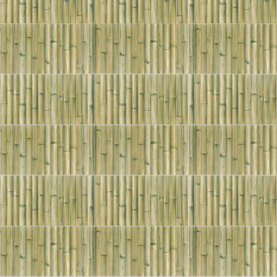 Bamboo 5.88'' W x 11.88'' L Tile