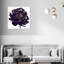 Pivoine noire - cadre photo-80845291-80845287