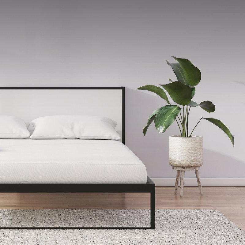 Signature Sleep Align 12'' Memory Foam Mattress, Queen