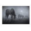 « moonlit », reproduction de photo sur toile tendue-23531721