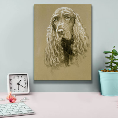 «Field Spaniel» par Barbara Keith