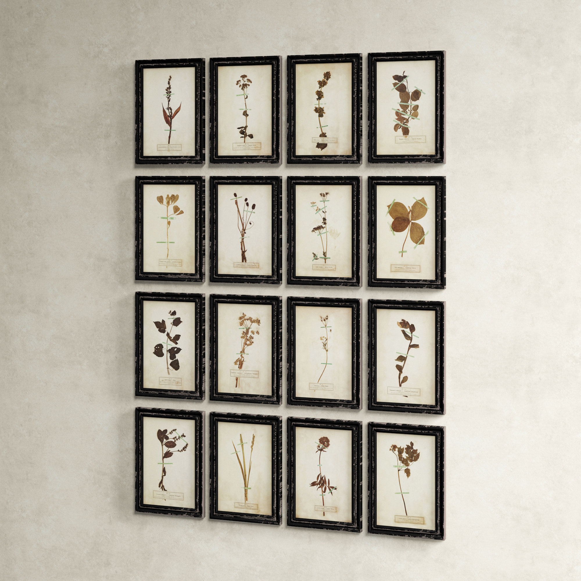 Birch Lane™ Topeka Dried Flower Framed On Paper 16 Pieces Print