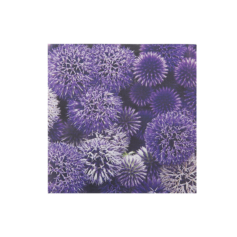 Serviettes jetables en papier Global Thistle Basic