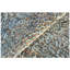 Animal Print Area Rug-70085530