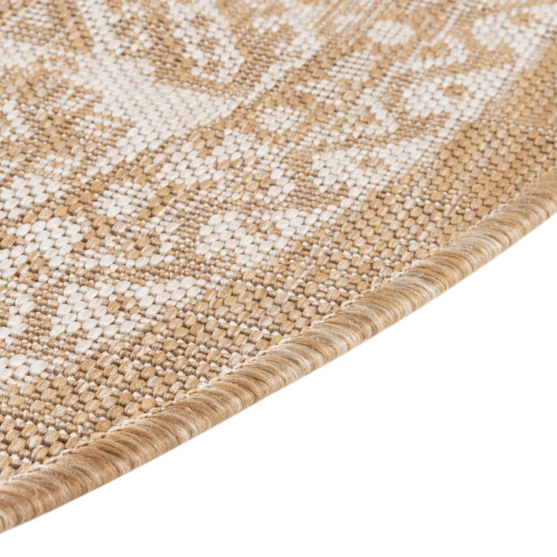 Danera Oriental Indoor / Outdoor Rug, Oval 5'3" x 7'10"