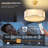 19'' Modern Ceiling Fan With Light-1262833571