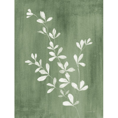 «Imed Simple Nature II Sage On Canvas» par Danhui Nai