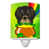 Black and Tan Longhair Dachshund