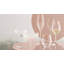 Cabernet Lines - verre bourgogne-759004263