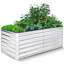 Boîte à fleurs surélevée pour jardin en métal galvanisé 6 pi x 3 pi Denisia Belisle-1237936186-1233813553