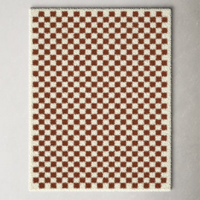 Walker Checkered Burnt Orange/Cream Shag Area Rug
