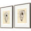 Sepia Oysters II Print by Willett Paragon