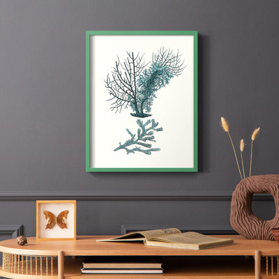 Reproduction encadrée Antique Coastal Coral VI - bois massif