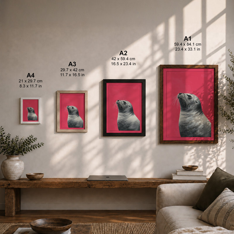 Seal in Pink Modern - Framed Print, Unframed, A1 - 84.1 x 59.4 cm
