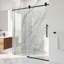 Cass 56-60" W x 76" H Sliding Frameless Shower Door with 3/8" Clear Glass-1742482033