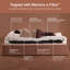 Jay-Be Innerspring / Coil Mattress-130427581