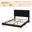 Full Size Velvet Bed Frame, Vertical Channel Tufted Headboard, Height Adjustable, Upholstered Platform Bed, No Box Spring Needed-2106930821
