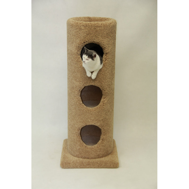 Habitation pour chat 13 "