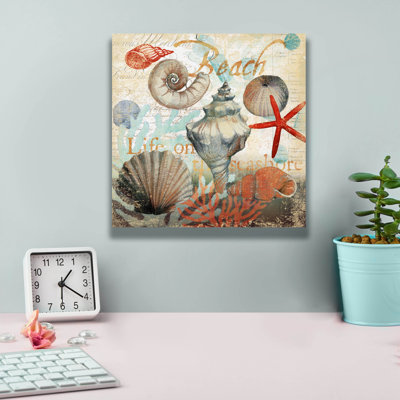 'Shell Collector1' by Art Licensing Studio Canvas Wall Art