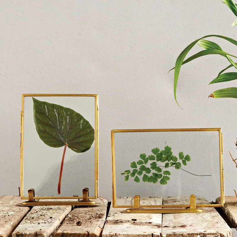 Cassidy Gold Metal Gilded Picture Frame - Set of 2