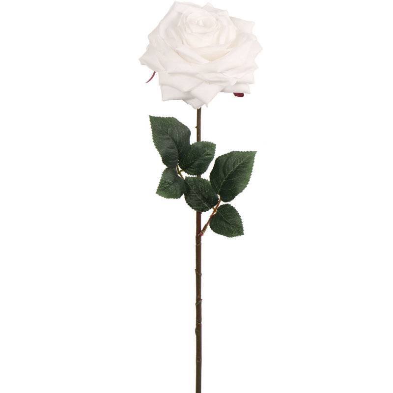 Roses Stem, White