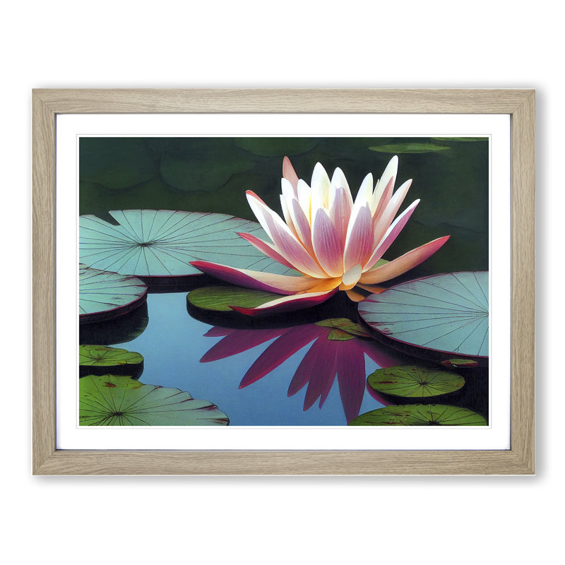 Fine Water Lily Pond - Single Picture Frame Print, 34cm H x 46cm W x 2cm D, Oak Framed