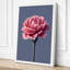 Pink Carnation Study Botanical 1 Piece Wrapped Canvas Wall Art-830700635-830700638