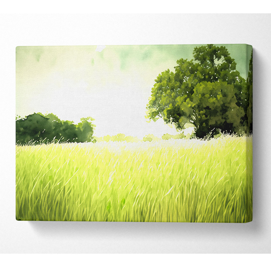 Sommerfeld Gras - Kunstdrucke auf Leinwand - Wrapped Canvas