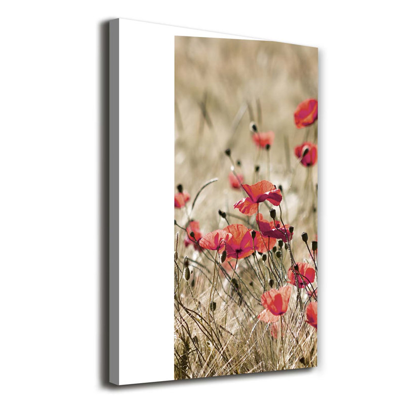 Field Flowers - Wrapped Canvas Print