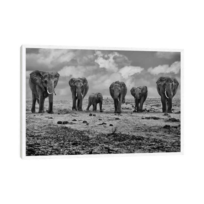 Big Family by Marcel Rebro - Gallery-Wrapped Canvas Giclée on Canvas, 66.04 cm H x 45.72 cm W, White Framed