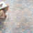Dream Performance Oriental Rug-749583352