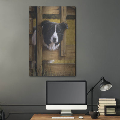 " Border Collie Exploring " by John Silver